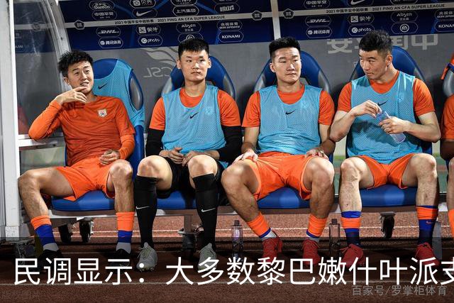 民调显示：大多数黎巴嫩什叶派支持解除真主党的武装，正在放弃真主党