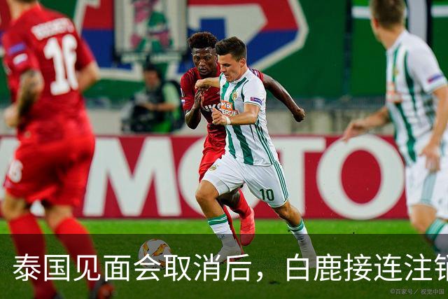 泰国见面会取消后，白鹿接连注销名下三家公司，网友：果然有猫腻