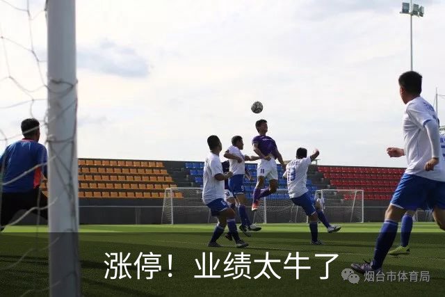 涨停！业绩太牛了