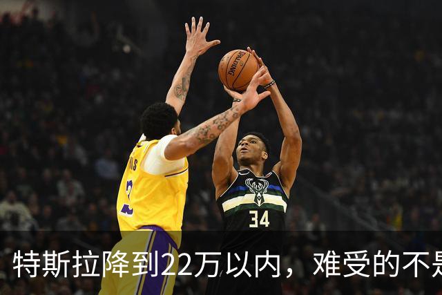 特斯拉降到22万以内，难受的不是对手，是上个月刚提车的人