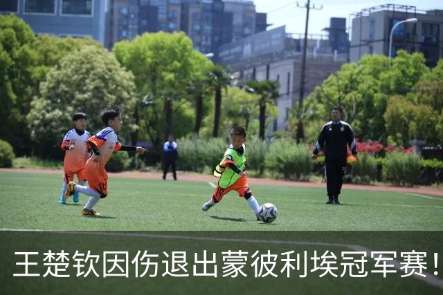 王楚钦因伤退出蒙彼利埃冠军赛！本赛季已退6站 球迷质疑国乒后勤保障