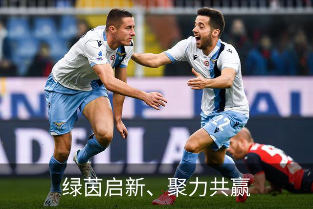 绿茵启新、聚力共赢