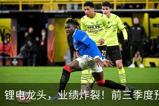 锂电龙头，业绩炸裂！前三季度预盈超51亿元，激增超27倍