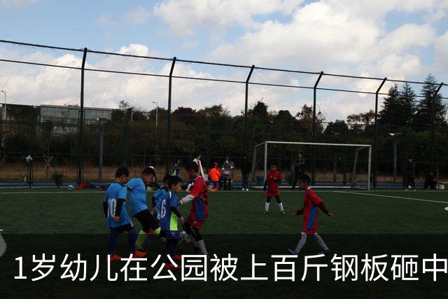 1岁幼儿在公园被上百斤钢板砸中身亡，钢板没固定但父亲曾起跳碰到，谁该为此事担责？仅赔偿30万合理吗？