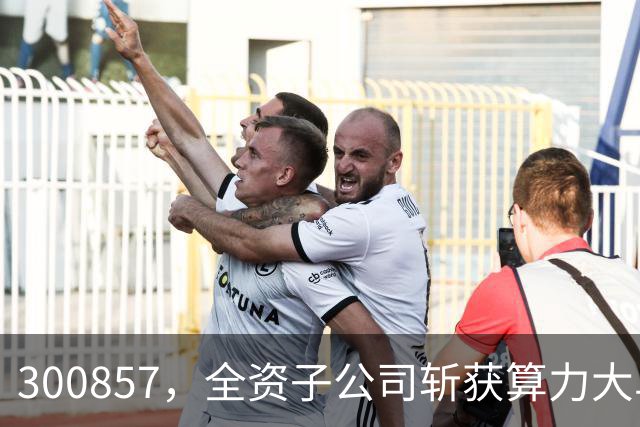 300857，全资子公司斩获算力大单
